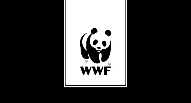 Étude du logo WWF